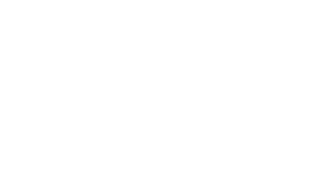 Regata